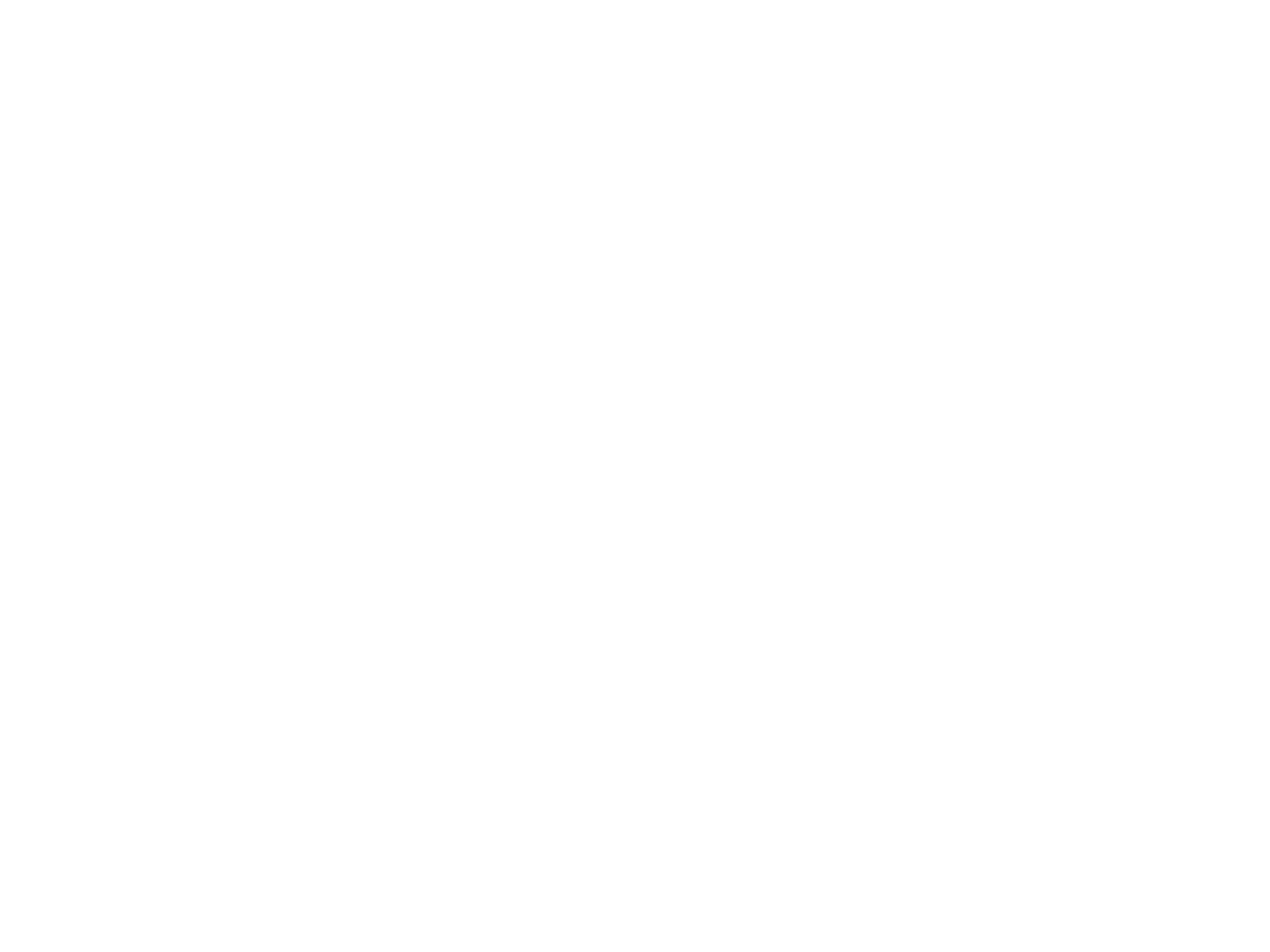 Künstlerischer Werdegang